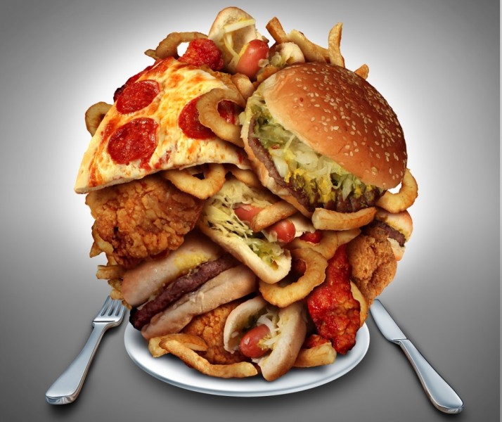 junk food and its effects 11 1024x1008