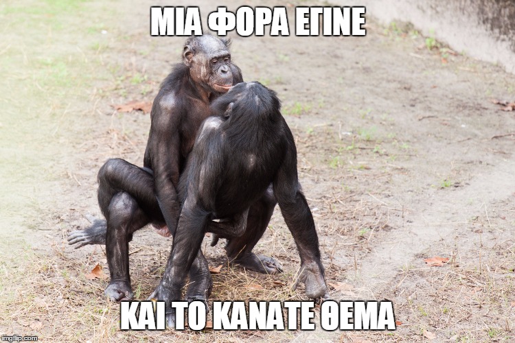 ximpantzis meme 2