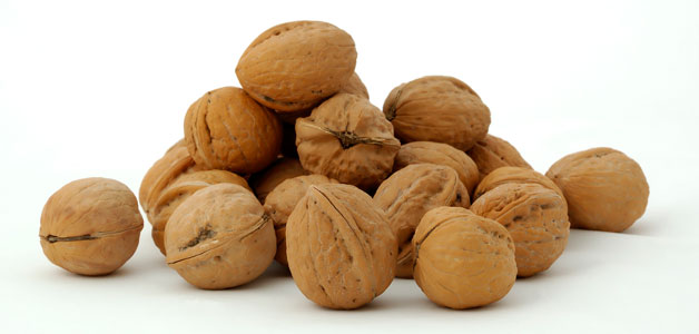 vegan walnuts