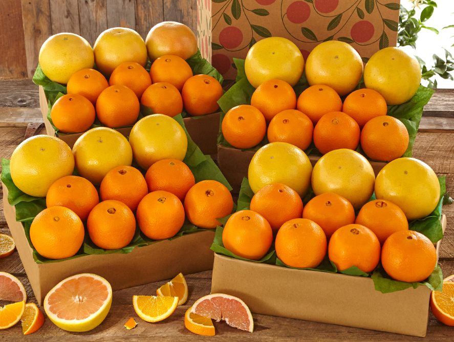buy navel oranges r
