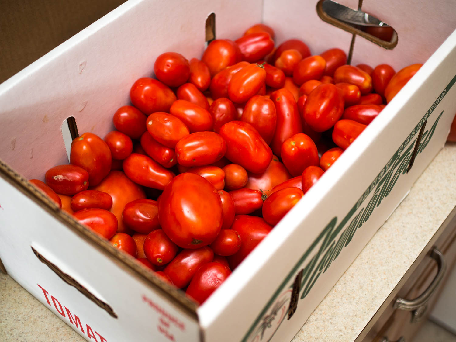 20140818 tomato sauce danielgritzer 9