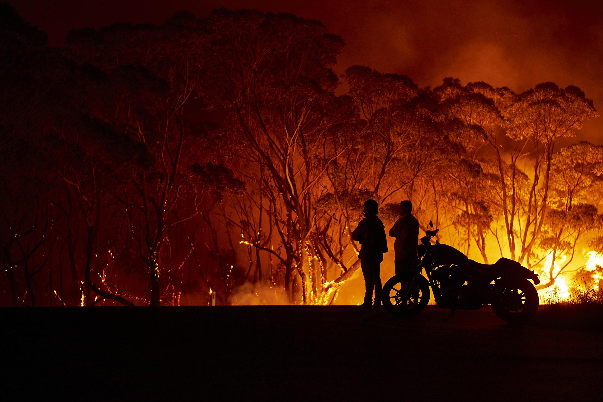 australia bushfire 11