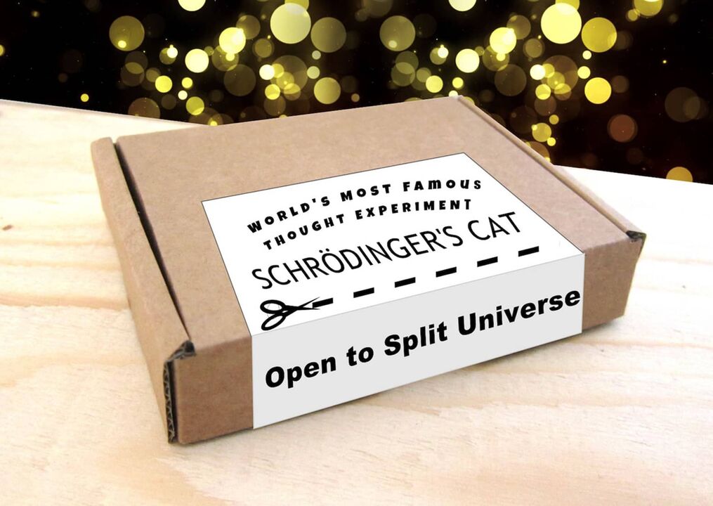 schrodingers cat in box thought experiment xl