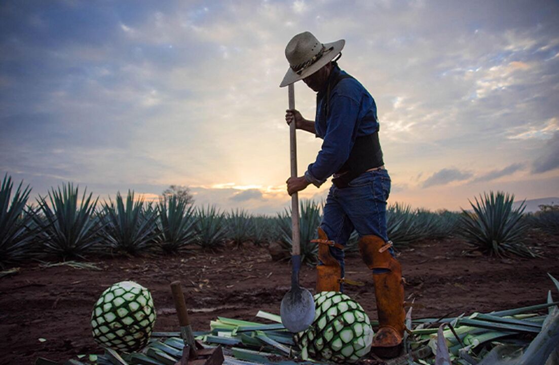 donjulio3