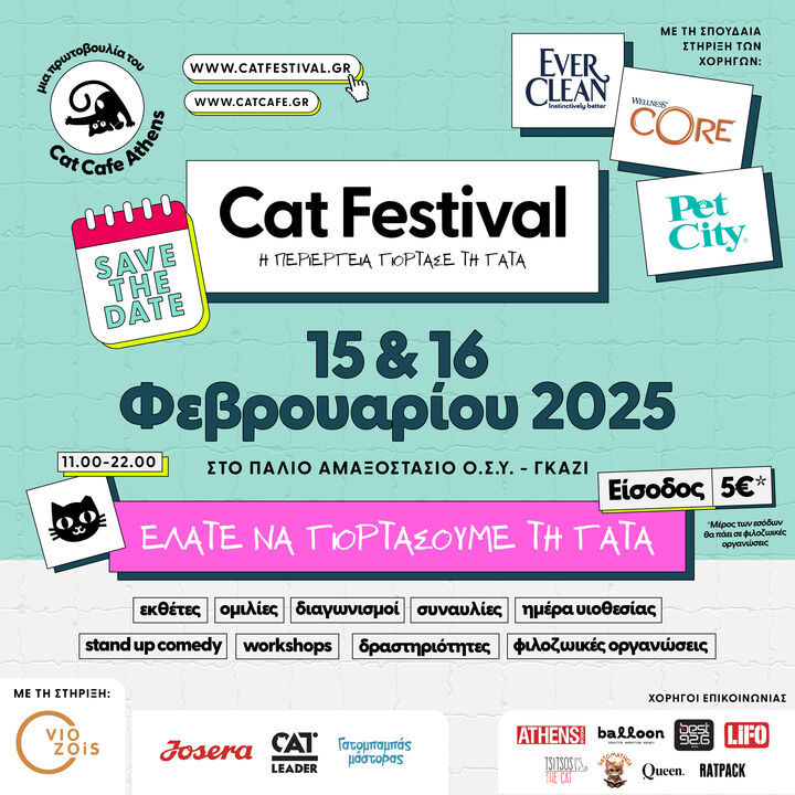 afisa catfestival