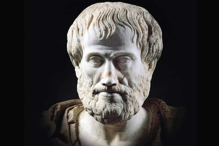aristote 728