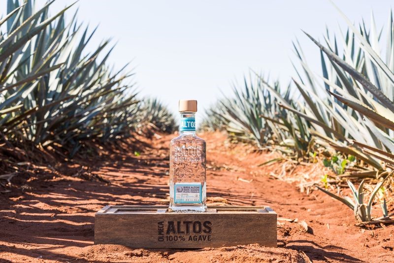 altos agave