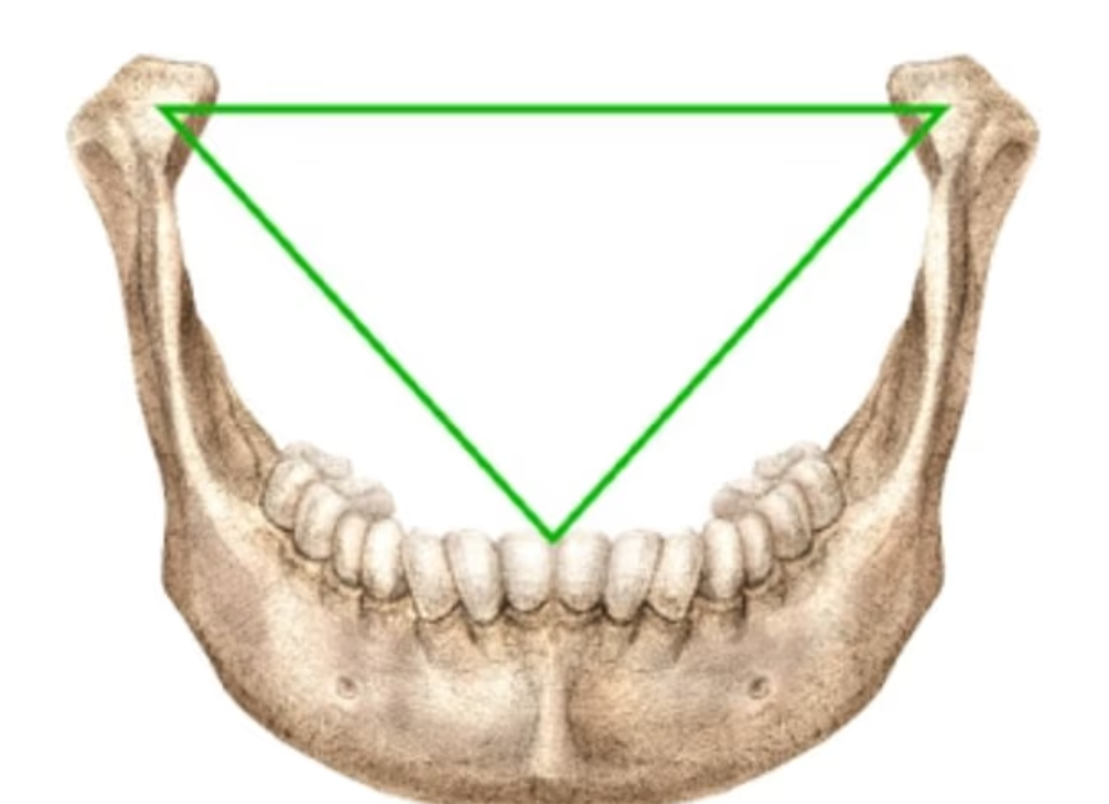 vitru1