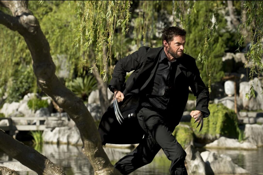 wolverine