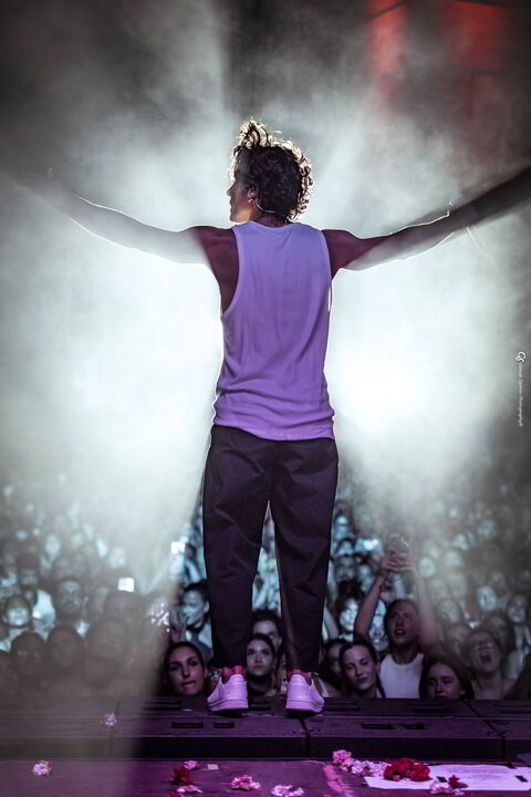 017 VLACHOS AFISA 2025