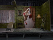 Sasha Flexy, Pole Dancer, 2016