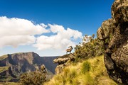 Αν πετάχτηκες στην Αιθιοπία το Εθνικό Πάρκο Σίμιεν είναι νο.1 προορισμός.