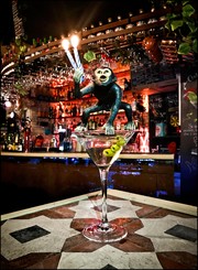 Μια «ελληνική» μαϊμού μεθάει τη Μαδρίτη