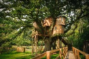 Fox & Hounds Treetop Treehouse, Devon, UK

Τιμή: 300 ευρώ