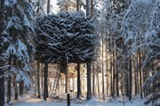 Treehotel Bird’s Nest, Sweden

Τιμή: 428 ευρώ