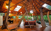 Treehouse Lodges, Costa Rica

Τιμή: Από 250 ευρώ