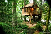 Treehouse Point, Seattle

Τιμή: Κατόπιν Συνεννόησης