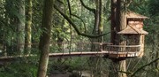 Treehouse Point, Seattle

Τιμή: Κατόπιν Συνεννόησης