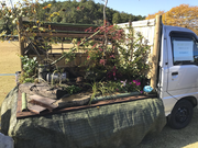 Οι Ιάπωνες συνεχίζουν να πουλάνε τρελίτσα με διαγωνισμό κήπων σε φορτηγά