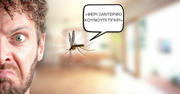 10 πραγματάκια που σου ψιθυρίζουν τα Κουνούπια όταν περνούν δίπλα από το αυτάκι σου