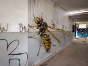 Τρισδιάστατα γκράφιτι που μυρίζουν εντομολαγνεία