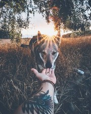 To #FollowMeTo του Instagram τώρα και σε σκύλο 