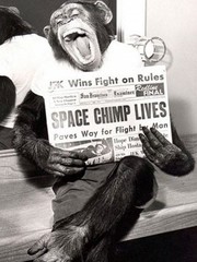 Ο χιμπατζής Enos ποζάρει χαρούμενος αφότου επιβίωσε από το ταξίδι του στο διάστημα (1961)