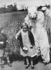Αν υποθέσουμε πως αυτός ντύθηκε λαγός, το Πάσχα της δεκαετίας του '50 πρέπει να ήταν πολύ τρομακτικό.