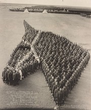 Αμερικανοί στρατιώτες σχηματίζουν κεφάλι αλόγου προς τιμήν των αλόγων που έχασαν στον Α' Παγκόσμιο Πόλεμο.