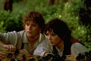 Samwise & Frodo (Lord of The Rings)