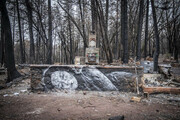 Η καμμένη γη της Καλιφόρνια έγινε λιγουλάκι πιο όμορφη με αυτά τα γκράφιτι