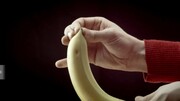 Την μπανάνα λοιπόν σε αντίθεση με όσα πίστευες τόσα χρόνια δεν την ανοίγεις από το κοτσάνι.