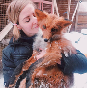 Ρωσίδα φωτογράφος τα βροντάει όλα και ανοίγει καταφύγιο ζώων
