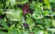 Πράσινα φυλλώδη λαχανικά Λαχανικά, όπως η λαχανίδα, το σπανάκι και η ρόκα αποτελούν μια εξαιρετική πηγή ασβεστίου. Για παράδειγμα, μια σαλάτα από λαχανίδα (περίπου 4 φλιτζάνια) περιέχει 376mg!
