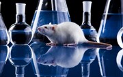 Έρευνα, η οποία πραγματοποιήθηκε σε ποντίκια, από το Πανεπιστήμιο Tsukuba στην Ιαπωνία, αποκάλυψε πως μια μεμονωμένη γονιδιακή μετάλλαξη μπορεί να αυξήσει την ποσότητα του ύπνου που χρειάζεται ένα ποντίκι, μια αποκάλυψη που οι ερευνητές πιστεύουν ότι μπορεί να προσφέρει χρήσιμη εικόνα για τις ανθρώπινες συνήθειες ύπνου. Η έρευνα δημοσιεύτηκε στο περιοδικό Proceedings της Εθνικής Ακαδημίας Επιστημών. Αυτό σημαίνει ότι υπάρχουν λόγοι για τους οποίους ο ύπνος ενός ατόμου διαφέρει από τον άλλον!
