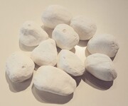 Το εναλλακτικό προϊόν ήταν κεραμικές πέτρες με την ονομασία pessoi, χωρίς να είναι σίγουρος κάποιος αν όντως ήταν βολικές.