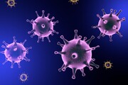  Οι ιοί μπορούν κι αυτοί να μολυνθούν. Για παράδειγμα, ο ιός Mamavirus μπορεί να μολυνθεί από έναν άλλο ιό που ονομάζεται Spoutnik.
