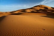 Πριν από 6.000 χρόνια, η έρημος Σαχάρα ήταν καταπράσινη.
