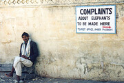 Ινδία: «Παράπονα για τους ελέφαντες να γίνονται εδώ». Για όποιον μπορεί να έχει παράπονο από έναν ελέφαντα...