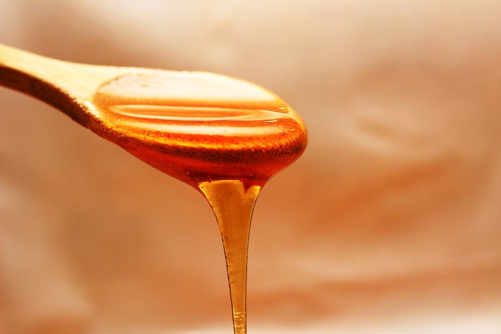 Όχι, το μέλι δεν παράγεται μόνο νέκταρ. Πρέπει να μάθεις πως οι μέλισσες χρησιμοποιούν το πεπτικό τους σύστημα για να «τεστάρουν» το νέκταρ. Στη συνέχεια το… κάνουν εμετό. Αυτό βοηθά στην απομάκρυνση  των φυσικών μυκητών από το νέκταρ.