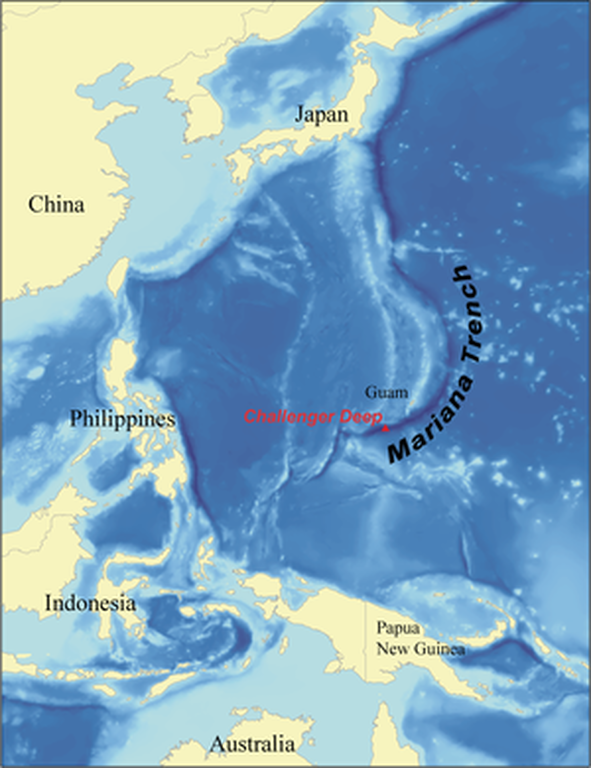 Το πιο βαθύ σημείο της, το λεγόμενο Challenger Deep, φτάνει τα 11.035 μέτρα κάτω από την επιφάνεια της θάλασσας και είναι το σημείο όπου οι δύο μεγάλες τεκτονικές πλάκες του Ειρηνικού συναντιώνται. 