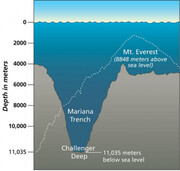 Για να καταλάβετε το ακριβές μέγεθος, αρκεί να πούμε ότι αν τοποθετούσαμε το όρος Έβερεστ σε αυτή τη θέση του Ειρηνικού Ωκεανού δεν θα φαινόταν καν η κορυφή του, αφού θα ήταν 2.123 μέτρα κάτω από την επιφάνεια του νερού!