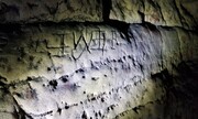 Δεν είναι η πρώτη φορά που βρέθηκαν τέτοια σύμβολα σε σπηλιές αλλά στη συγκεκριμένη, βρέθηκαν τα περισσότερα.