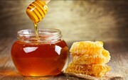 Μέλι

Σε κάθε περίπτωση, μπορείτε να πίνετε ζεστά ροφήματα (όπως τσάι) στα οποία προσθέτετε και (μόνο) ακατέργαστο μέλι. Το μέλι έχει πολύ ισχυρές αντιιικές, αντιβακτηριακές και αντιμυκητιακές ιδιότητες και ταυτόχρονα ενισχύει το ανοσοποιητικό σύστημα.

Τώρα, για ακόμα καλύτερα αποτελέσματα στην αποσυμφόρηση της ρινικής οδού, μπορείτε να δοκιμάσετε αυτό το συνδυασμό:

Ένα ποτήρι ζεστό νερό
1 κουταλάκι του γλυκού μέλι
1 κουταλιά της σούπας μηλόξυδο
3 σκελίδες ψιλοκομμένο ωμού σκόρδου
Ανακατέψτε καλά και πιείτε το!