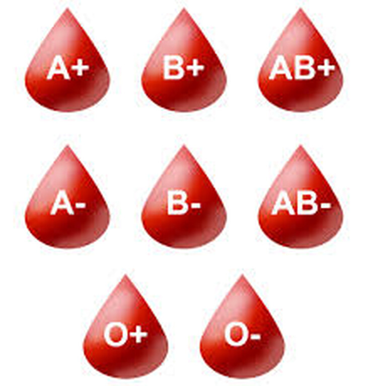 Στο αίμα διακρίνουμε πολλές διαφοροποιήσεις, αλλά μόνο η διάκριση των ομάδων Α, Β, και 0 και ο παράγοντας Ρέζους έχουν πρακτική σημασία. Στην επιφάνεια των ερυθρών αιμοσφαιρίων υπάρχουν δύο τύποι πρωτεϊνών, η Α και η Β.