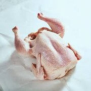 Είναι, λοιπόν, πιθανό ότι οι δύο συχνές αιτίες τροφικής δηλητηρίασης, η σαλμονέλα και το καμπυλοβακτήριο, να βρίσκονται «δικαιολογημένα» επάνω στο κοτόπουλο, όπως επισημαίνει η Mindy Brashears, υπεύθυνη ασφάλειας τροφίμων στο Υπουργείο Γεωργίας της Αμερικής (USDA).