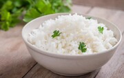 Το ρύζι αποτελεί αναπόσπατο στοιχείο της διατροφής σχεδόν όλων των λαών, ενώ είναι βασικό συστατικό σε δεκάδες πιάτα της ελληνικής κουζίνας.
