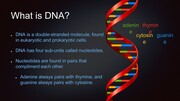 Έλληνες φοιτητές σχεδίασαν τον πρώτο υπολογιστή DNA
