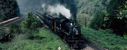 Το τρένο-«καρβουνιάρης»,

Μπορεί οι εποχές που το τρένο χρειαζόταν κάρβουνα για να προχωρήσει να απέχουν πολλές δεκαετίες, αλλά ακόμη και για τις τελευταίες γενιές, η λέξη «καρβουνιάρης» επιβίωσε, περιγράφοντας το παλιό τρένο που προχωρά πιο αργά και από υπερήλικη χελώνα. Σήμερα, μπορεί το χρέος του ΟΣΕ να μετριέται σε δισεκατομμύρια και η εξυπηρέτηση να μην είναι η καλύτερη δυνατή, αλλά τα intercity, ο προαστιακός και οι συρμοί με τον κλιματισμό και τα βελούδινα καθίσματα δεν δικαιολογούν τον αναχρονιστικό όρο (ή τουλάχιστον έτσι ελπίζουμε).
