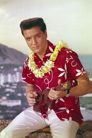  Elvis Presly in Blue Hawaii (1961)